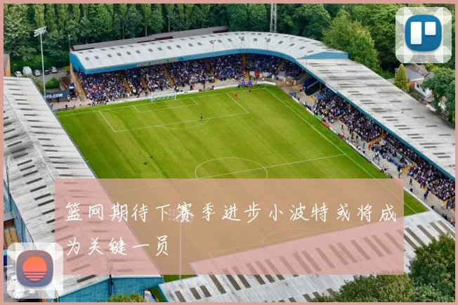 篮网期待下赛季进步小波特或将成为关键一员